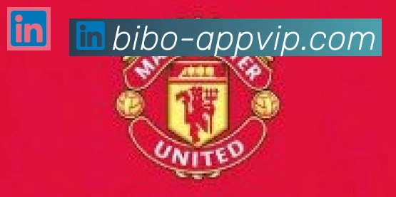 必博bibo官网体育合作伙伴