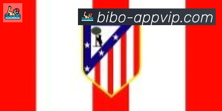 必博bibo官网体育合作伙伴